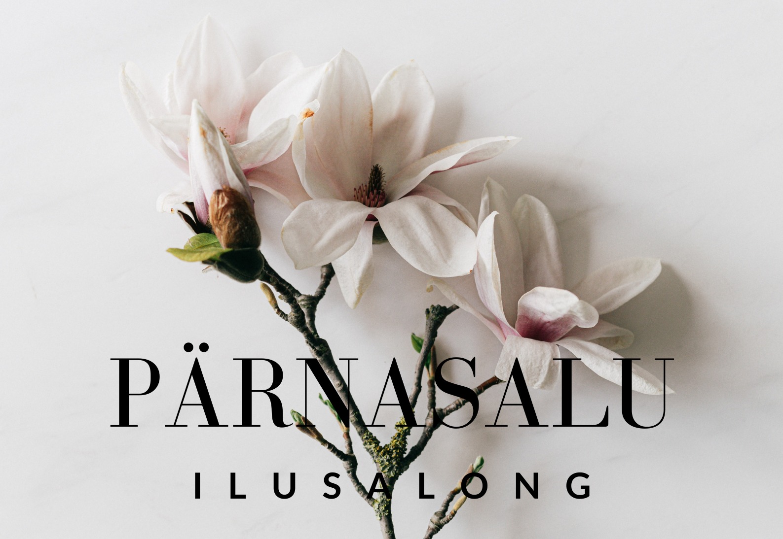 whatsapp image 2026 04 17 at 21.30.18